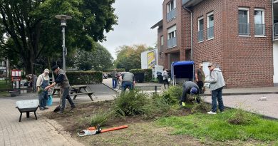 Herbstputz auf der Bouleanlage